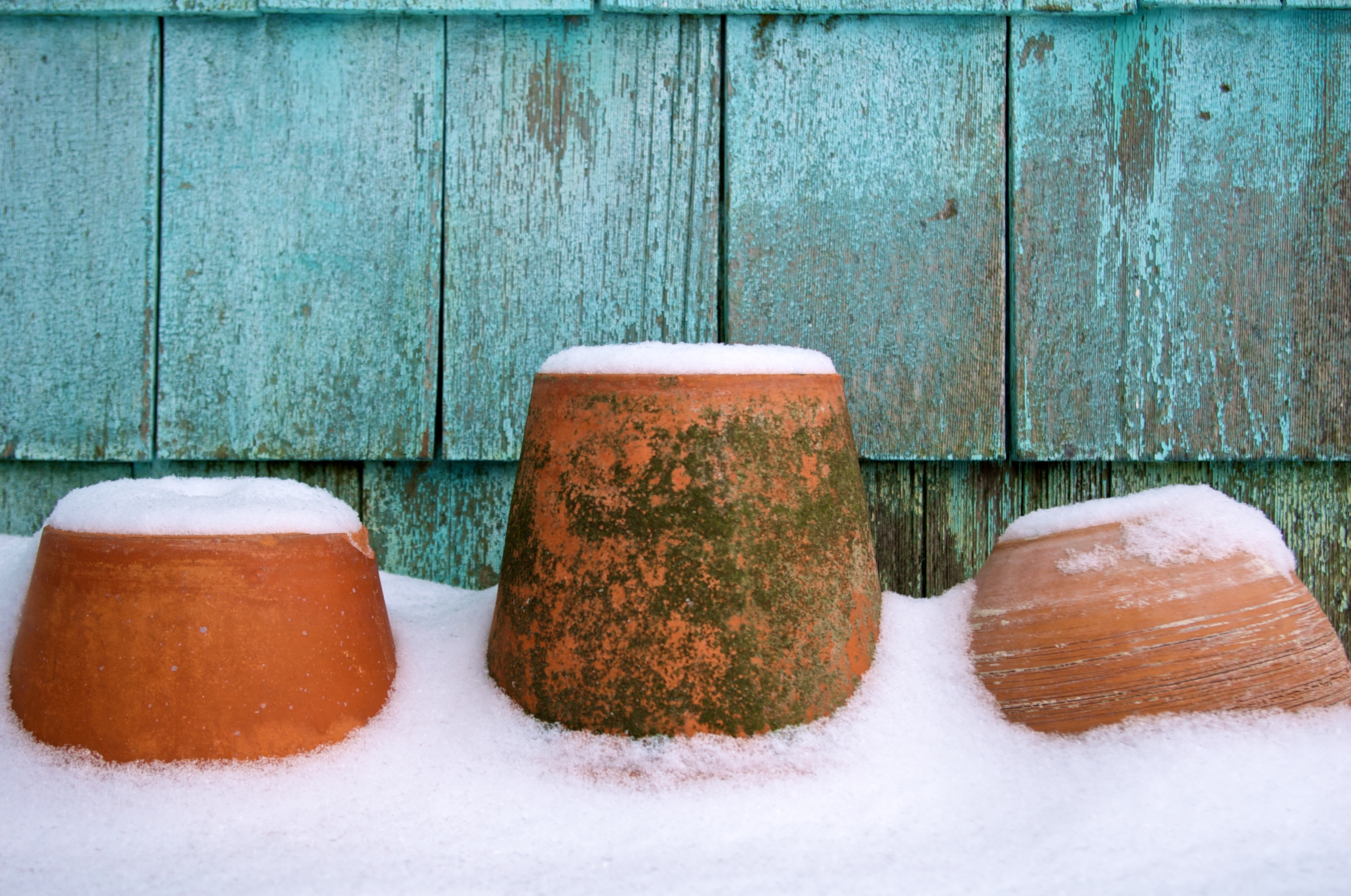 Pots in Snow